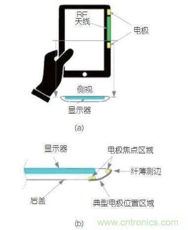 (a)側(cè)剖視圖描述；(b)電極焦點(diǎn)區(qū)域描述