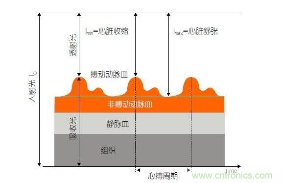 PPG測(cè)量中檢測(cè)器信號(hào)的產(chǎn)生。照射皮膚的光線(I0)被靜脈血或動(dòng)脈血吸收，或反射回檢測(cè)器。信號(hào)的變化分量對(duì)應(yīng)著與心跳同步變化的動(dòng)脈血流量。這個(gè)信號(hào)的變化周期指示了脈率。最小和最大檢測(cè)器信號(hào)的比值(光電流Imin/Imax)為判斷血氧飽和度提供了依據(jù)。