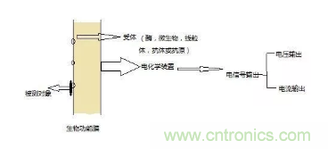 仿生傳感器的定義、原理、分類及應(yīng)用