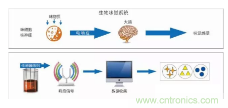 仿生傳感器的定義、原理、分類及應(yīng)用