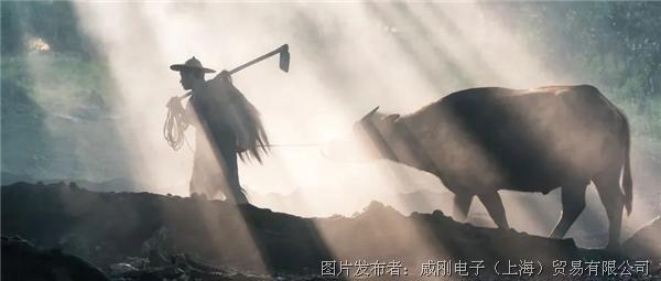智慧農(nóng)業(yè)大有可為，“數(shù)字種地”更輕松
