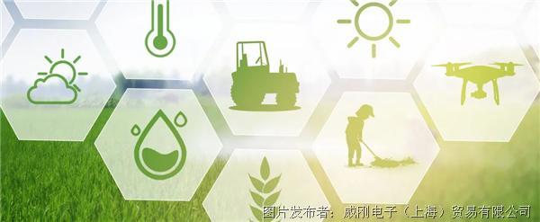 智慧農(nóng)業(yè)大有可為，“數(shù)字種地”更輕松